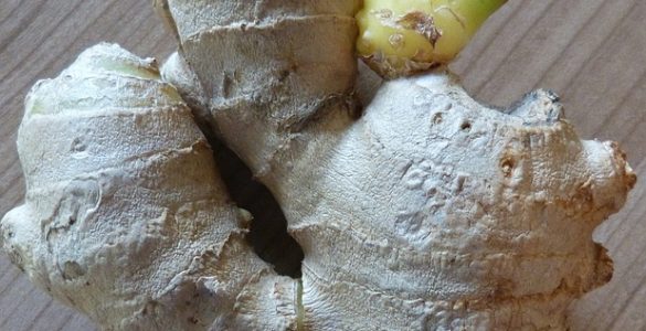 How to Grow Ginger at Home How to Grow Lots of Ginger in Containers at Home