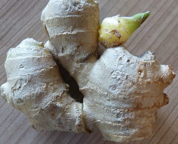 How to Grow Ginger at Home How to Grow Lots of Ginger in Containers at Home