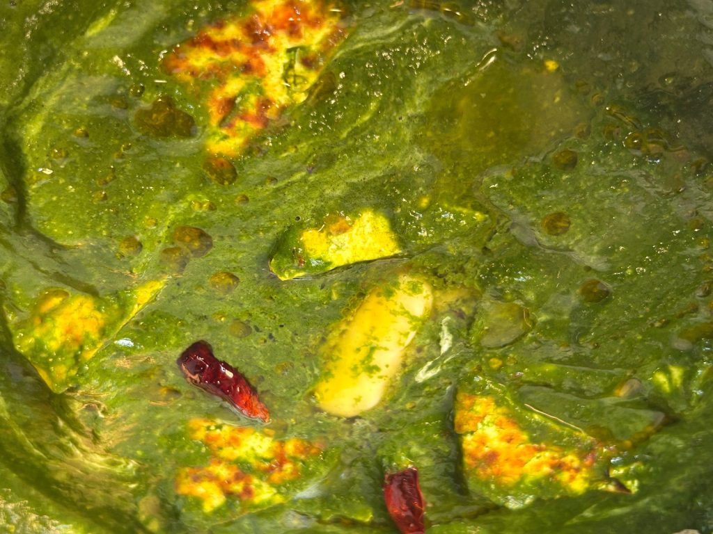 Palak Paneer recipe by Chatori Chetna